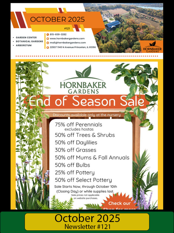 October 2025 Newsletter copy