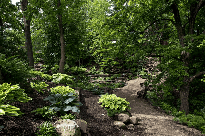 A Season of Hostas: Our 10 Bestsellers for 2025