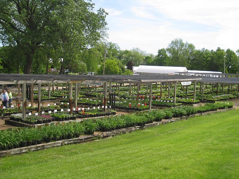plant benches from hill